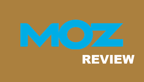 Evaluating Your SEO Strategy with a Moz SEO Review